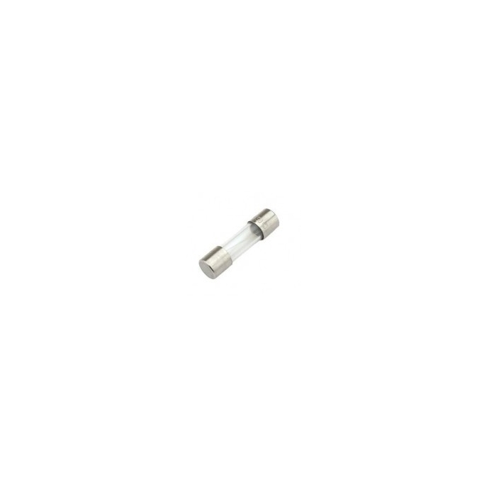 FUSIVEL 4A 250V RETARDO - MICRO FUSE