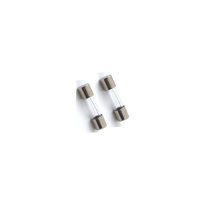 FUSIVEL - T RETARDO 5X20MM-   2A