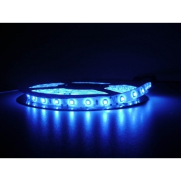LED - SMD ROLO FITA AZUL (5050) - 5 METROS